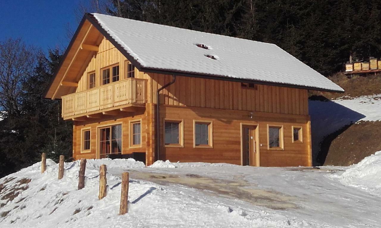 Bio Chalet "Sonne" Weisspriach Ngoại thất bức ảnh